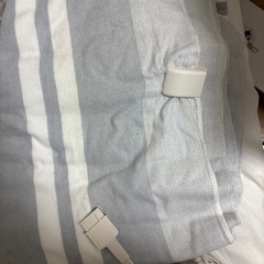 ニトリ　　デンキカケシキモウフの画像