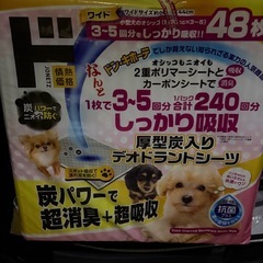 ドッグフードとペットシート多数あり
の画像