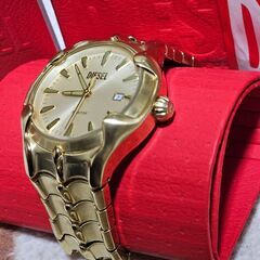 稼動品 美品 希少モデルDZ2198DIESEL VERT METAMORPHの画像