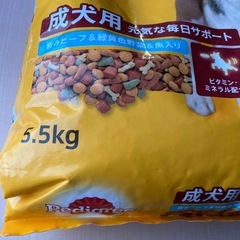 ペティグリー成犬用元気な毎日サポート5.5kgの画像