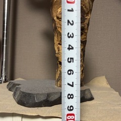 ヤマドリ　剥製　はく製の画像