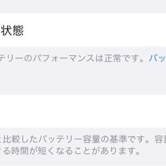 iPad pro M4 Wi-Fi + Cellular 256GB 極美品 Apple care +付きの画像