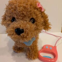 おさんぽエマ トイプードル　IWAYAの画像