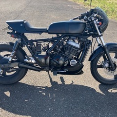 エリミネーター250se
の画像