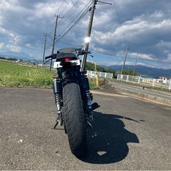 エリミネーター250se
の画像