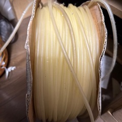 観賞魚　ホース　メダカの画像