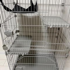 猫　　ケージの画像