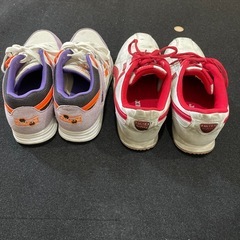 24.5サイズのスニーカーと安全靴の画像