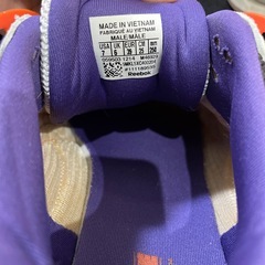 24.5サイズのスニーカーと安全靴の画像