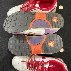 24.5サイズのスニーカーと安全靴の画像