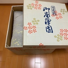 大判座布団5枚セットの画像
