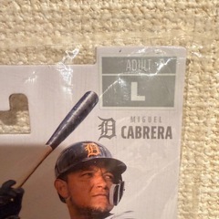 野球battingグローブの画像