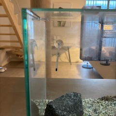 水槽   金魚鉢 セットの画像