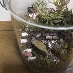 お取引中　テラリウム　ミニチュア細工の画像