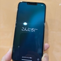 iPhone13PRO 256GB　の画像