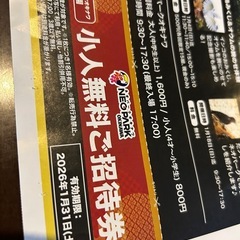 東南植物楽園　ネオパーク沖縄　小人無料券　1/31までの画像