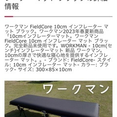 ワークマン　インフレーターマットの画像