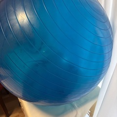 バランスボールの画像