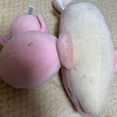 ぬいぐるみの画像