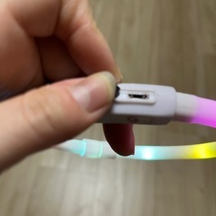 LED犬用首輪　夜散歩を安全に！の画像