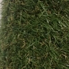 人工芝　1m×1mの画像