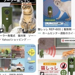 ネコしっしの画像