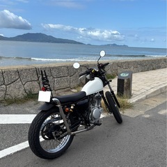 グラストラッカー ビッグボーイの画像