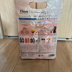 🉐　シャンプートリートメント　Dianeの画像