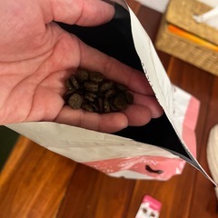 1週間前に開封　お試しにELMO パピー用
ドッグフード　5kg の画像