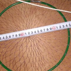 落としダモ　釣り　タモ網　青物の画像