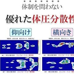 【大型U字枕　抱き枕】フォスフレイクス コンフォートU セミロング 85×135cm U字枕の画像