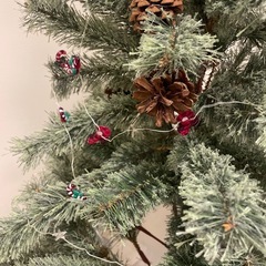 クリスマスツリーの画像
