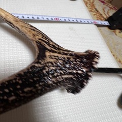 ランタンハンガー 天然の鹿の角
の画像