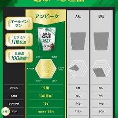 アンビーク AMBiQUE ソイプロテイン 1kg チョコレート味 の画像