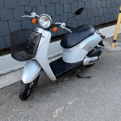 ホンダ トゥデイ AF61の画像