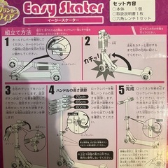 イージー　スケーター　easy skaterの画像