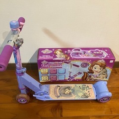 イージー　スケーター　easy skaterの画像