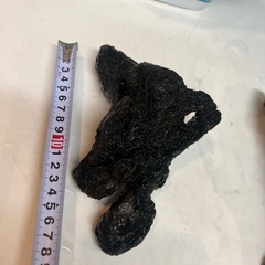 流木色々の画像