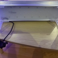 ゼンスイ ナノ レビル(nano LeviL) 海水水槽用 ブルーホワイト 300 ※サンゴ飼育・海水魚の画像