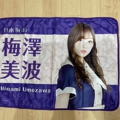 乃木坂　ブランケットの画像