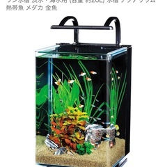ガラス水槽
の画像