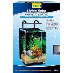 ガラス水槽
の画像