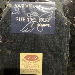 ラサンテ　シルク　5本指ソックスの画像