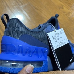 ナイキの （ AIR MAX ALPHA TRAINER ）の画像