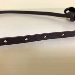 ベルト レデースの画像