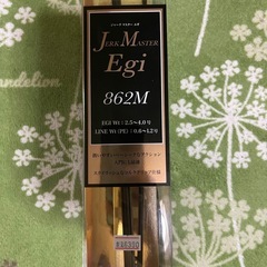 エギングセット　（入門編）早い者勝ち！の画像