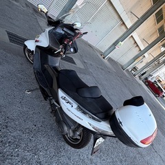 1/3まで限定価格　キムコ　XCITING 250
の画像