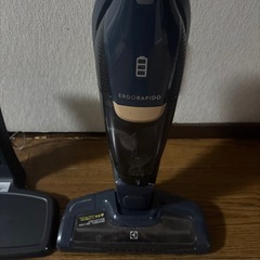 【掃除機】Electrolux ergorapidoの画像