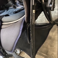 ピジョン　ランフィエフの画像