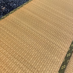 収納付 ユニット畳x2セットの画像